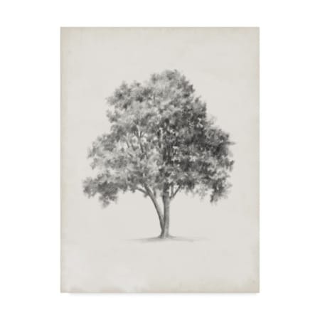 Ethan Harper 'Vintage Arbor Study I' Canvas Art,18x24
